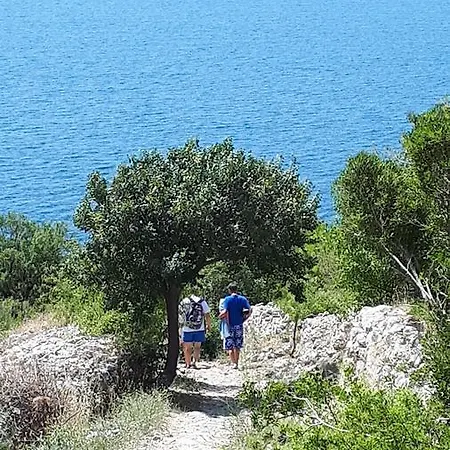 Doulos * ספליטסקה